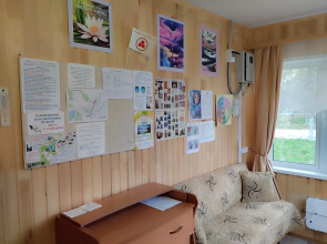 Гостевой Дом Белый Лотос