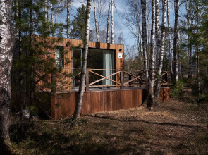 Снежные Гуси в Байкальске