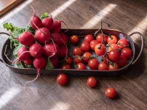 Апартаменты Alpine Castle 1