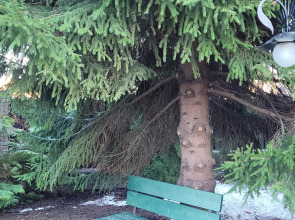 Частный Дом с Сауной и Беседкой