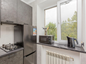 Квартира  в Центре рядом Парк