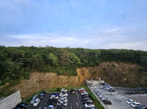 Квартира на Зелёном бульваре 19