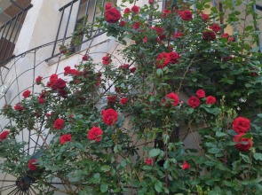 Гостевой Дом Елена