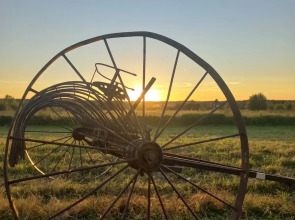 Гостевой дом Первая лошадь