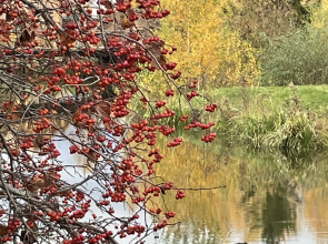 Гостевой дом Моя Провинция