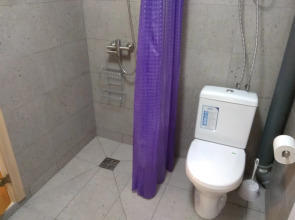 Гостевой дом Scandi house