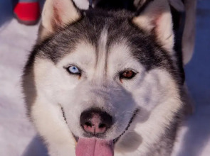 Отель Загородный клуб