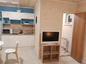 Частный дом в Малые соли