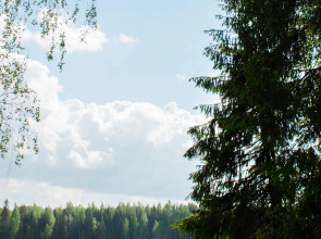 Коттедж Новгородская Деревня