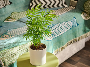 Квартира в самом центре туристические объекты в пешей доступности