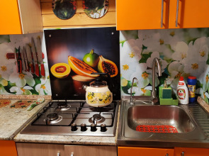 Гостевой Дом Чайка-Селигер