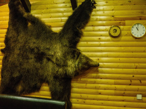 Городской отель Ключотель