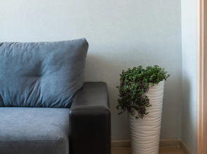 Квартира у Лахтинского разлива