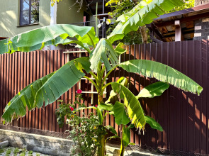 Гостевой дом Альпина-Хутор