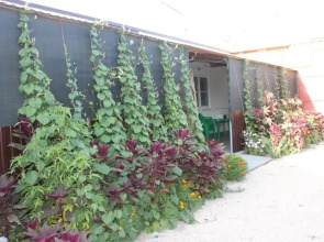 Гостевой дом 1388784