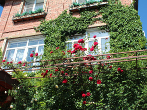 Гостевой дом У Друзей