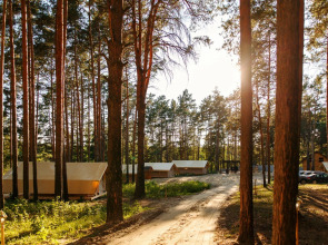 База Отдыха Сны Леса