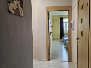 Апартаменты Golden Holiday 2 спальни