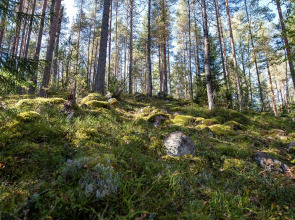 Отель База отдыха Заветное
