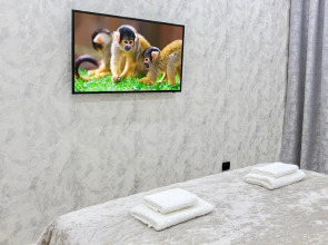 Апартаменты FSF Премиальные В Центре