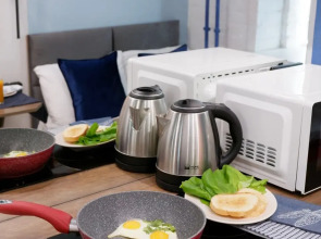 Апартаменты Боровая 34/24 №1