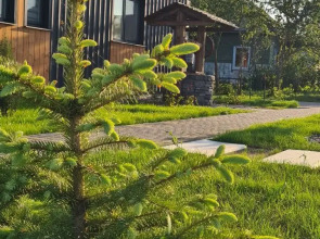 Гостевой дом Журавлиная Ельня