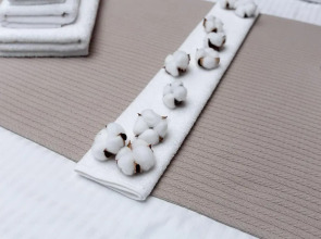 Отель ESENIN-LocuS