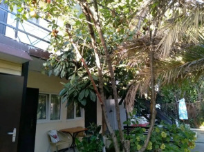 Гостевой дом Мотив у моря