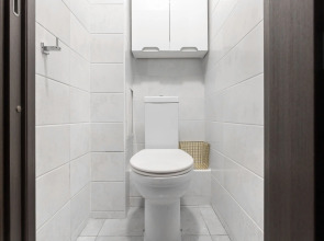 Апартаменты Pronina Aparts на Кушелевской дороге