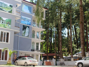 Отель Nine Brothers