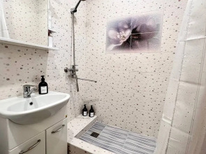 Квартира Однокомнатная на Кошевого 25с1 1