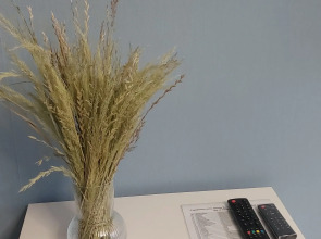 Апартаменты на Ломоносова