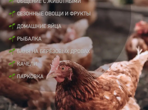 Гостевой дом Кевда