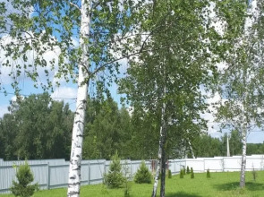 Дом баня Боярыня