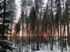 Частный дом Баpнxауc в Сосновом Бору