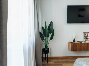 Квартира Zoom