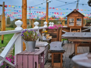 Гостевой дом Дикий Гусь