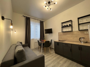 Апартаменты Scandinavian Style Apartments