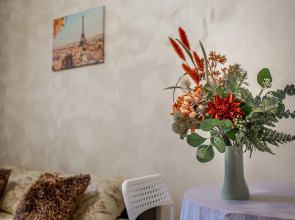 Апартаменты Студия Парижский Сон