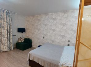 Квартира Снежность на Коминтерна