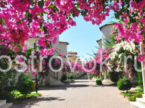 Апарт-Отель Sunset Beach Club