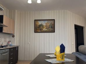 Квартира Просторная Уютная в Центре Города