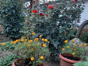 Гостевой дом Солнечный