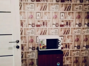 Апартаменты Воровского4 №3