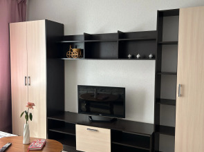 Апартаменты на проспекте Московском 209