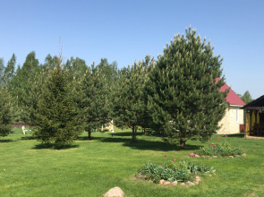 Бунгало Дункан