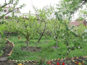 Хостел Artush & Raisa B&B