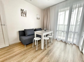 Квартира Елена Озерки