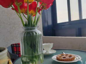 Апартаменты 2-х комнатные с видом на планету Земля