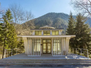 Отель Borjomi Likani